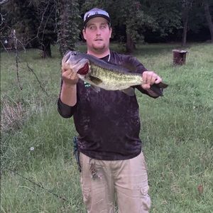 Meet your Posher, Cameron